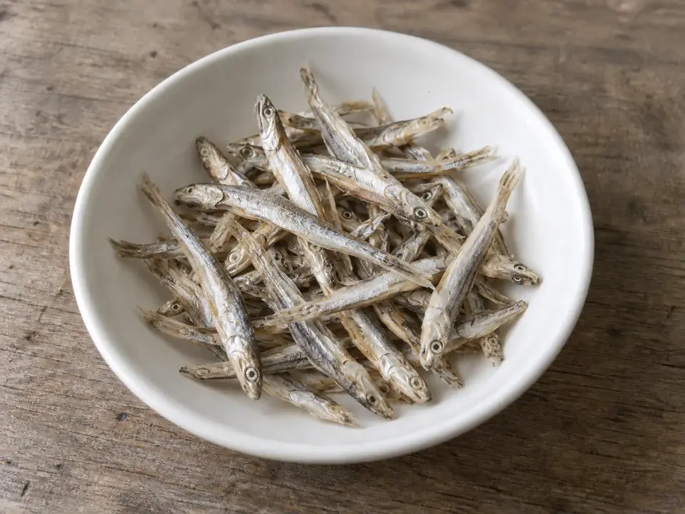 꽃멸치